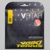 Tennis Accessories Volkl V-Star 18