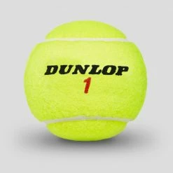 Dunlop ATP Championship Regular Duty 24 Cans Tennis Accessories