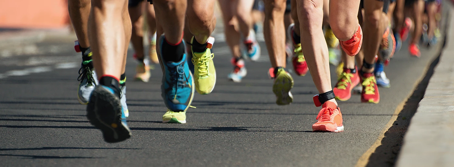 Holabird Sports Store -Holabird Sports Store